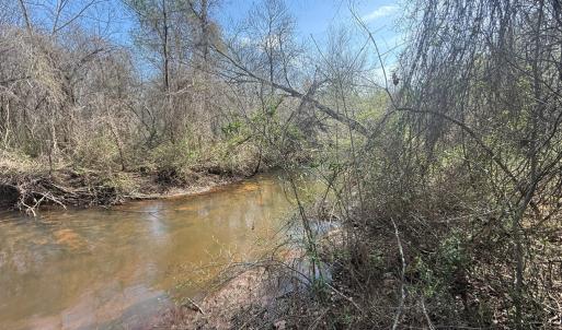 Photo #17 of Parsons Road, Ashland, VA 31.1 acres