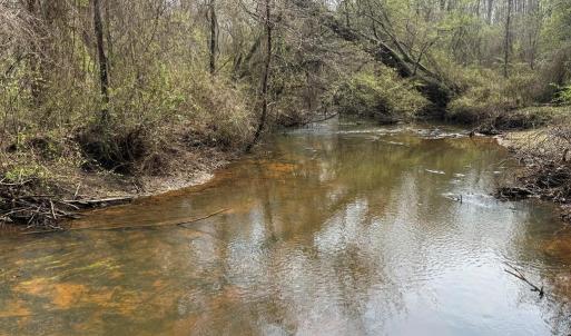 Photo #2 of Parsons Road, Ashland, VA 31.1 acres