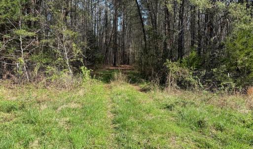 Photo #3 of Parsons Road, Ashland, VA 31.1 acres