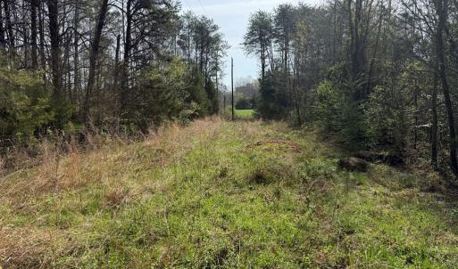 Photo #5 of Parsons Road, Ashland, VA 31.1 acres
