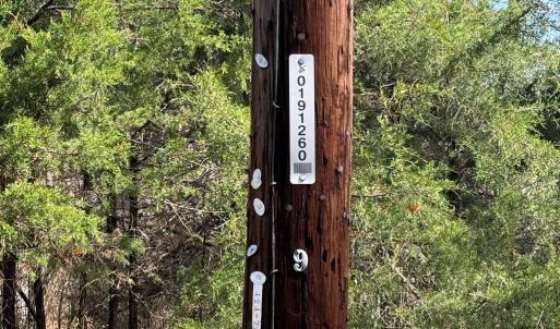 Photo #6 of Parsons Road, Ashland, VA 31.1 acres