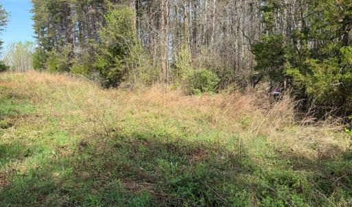 Photo #7 of Parsons Road, Ashland, VA 31.1 acres