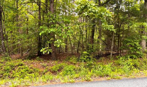 Photo #3 of Old Tower Hill Rd, Dillwyn, VA 2.0 acres