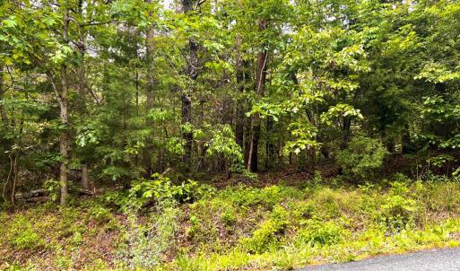 Photo #4 of Old Tower Hill Rd, Dillwyn, VA 2.0 acres