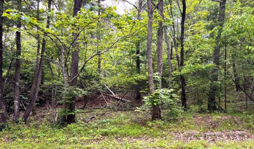 Photo #5 of Old Tower Hill Rd, Dillwyn, VA 2.0 acres