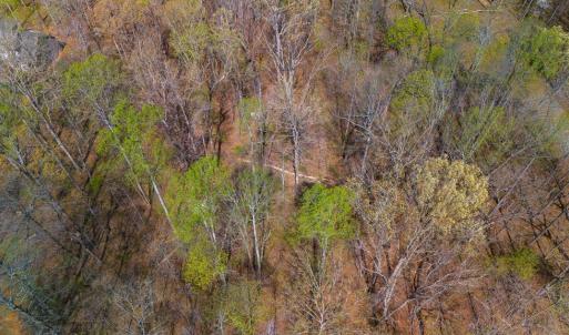 Photo #5 of Lake Pointe Ct, Pamplin, VA 2.2 acres