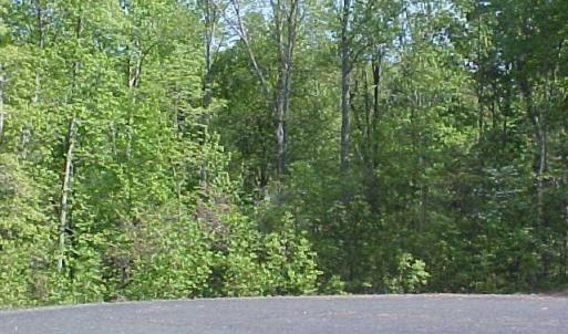 Photo #2 of Lake Pointe Court, Pamplin, VA 3.4 acres