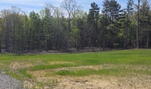 Photo #3 of Farmville Rd, Meherrin, VA 12.7 acres