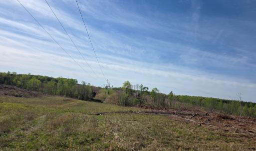 Photo #2 of Farmville Rd, Meherrin, VA 12.7 acres