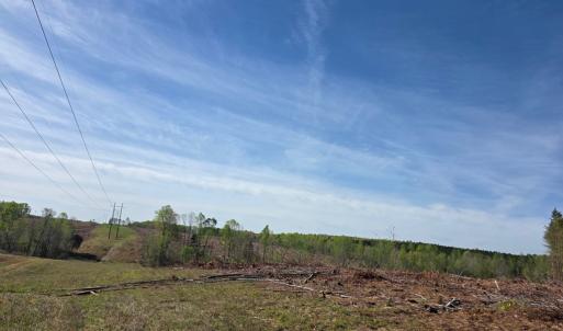 Photo #2 of Woodland Lane, Drakes Branch, VA 101.2 acres