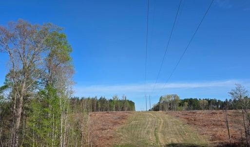 Photo #3 of Woodland Lane, Drakes Branch, VA 101.2 acres