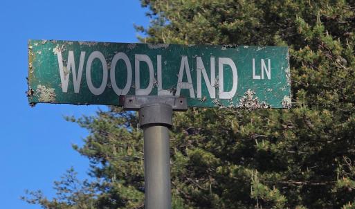 Photo #5 of Woodland Lane, Drakes Branch, VA 101.2 acres