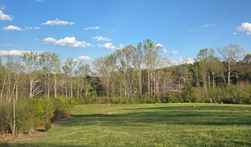 Lot View