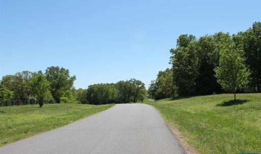 Photo #2 of 17 LANGDON WOODS DR, DYKE, VA 3.1 acres