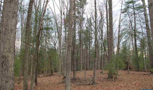 Photo #11 of 17 LANGDON WOODS DR, DYKE, VA 3.1 acres
