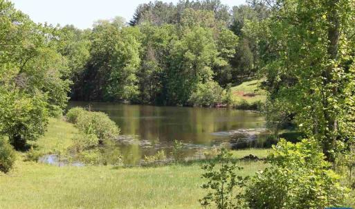 Photo #3 of 17 LANGDON WOODS DR, DYKE, VA 3.1 acres