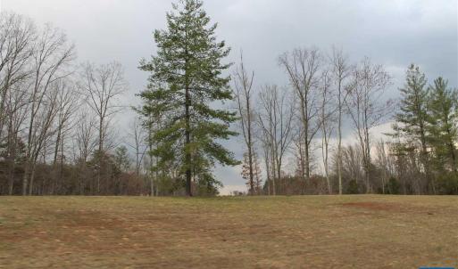 Photo #5 of 17 LANGDON WOODS DR, DYKE, VA 3.1 acres