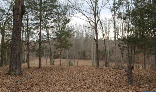 Photo #6 of 17 LANGDON WOODS DR, DYKE, VA 3.1 acres