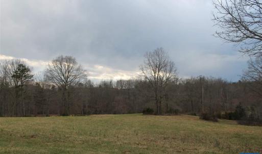 Photo #8 of 17 LANGDON WOODS DR, DYKE, VA 3.1 acres
