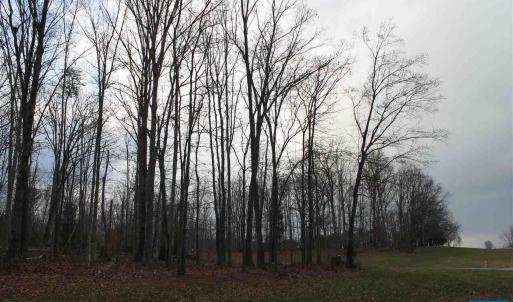 Photo #15 of 670 LANGDON DR, DYKE, VA 4.4 acres