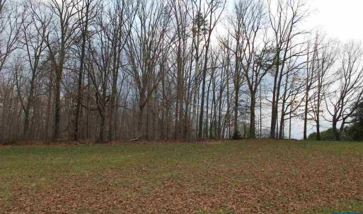 Photo #16 of 670 LANGDON DR, DYKE, VA 4.4 acres