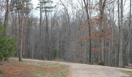 Photo #4 of 670 LANGDON DR, DYKE, VA 4.4 acres