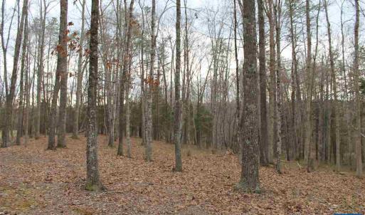 Photo #5 of 670 LANGDON DR, DYKE, VA 4.4 acres