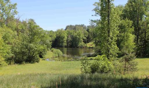 Photo #18 of 670 LANGDON DR, DYKE, VA 4.4 acres