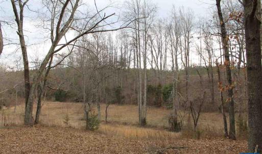 Photo #7 of 670 LANGDON DR, DYKE, VA 4.4 acres