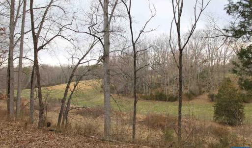 Photo #8 of 670 LANGDON DR, DYKE, VA 4.4 acres