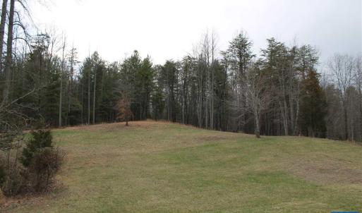 Photo #9 of 670 LANGDON DR, DYKE, VA 4.4 acres