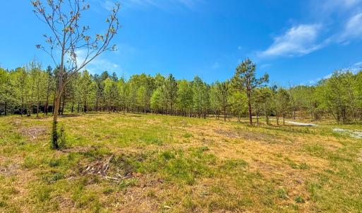 Photo #11 of Tyler Road, Crewe, VA 10.0 acres