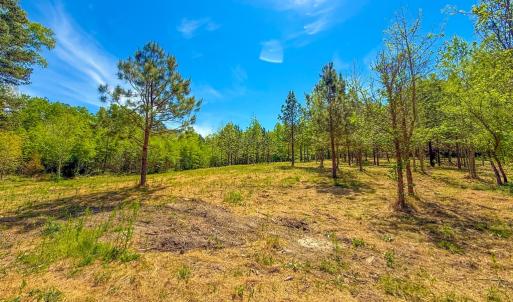 Photo #12 of Tyler Road, Crewe, VA 10.0 acres