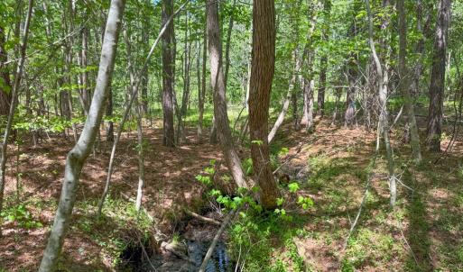 Photo #14 of Tyler Road, Crewe, VA 10.0 acres