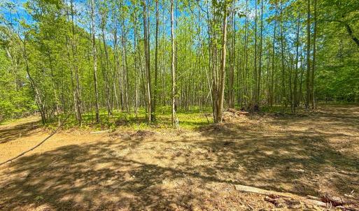 Photo #15 of Tyler Road, Crewe, VA 10.0 acres