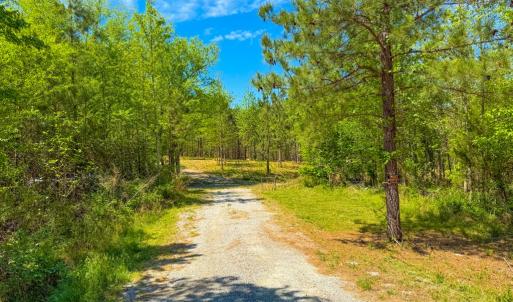 Photo #16 of Tyler Road, Crewe, VA 10.0 acres