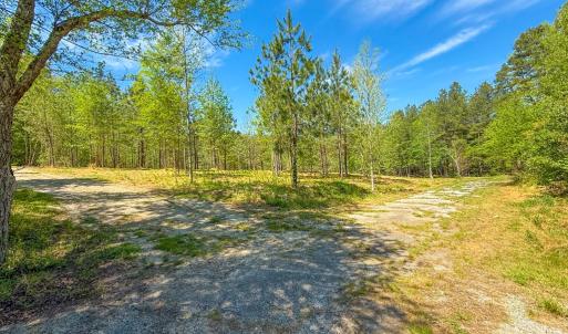 Photo #17 of Tyler Road, Crewe, VA 10.0 acres