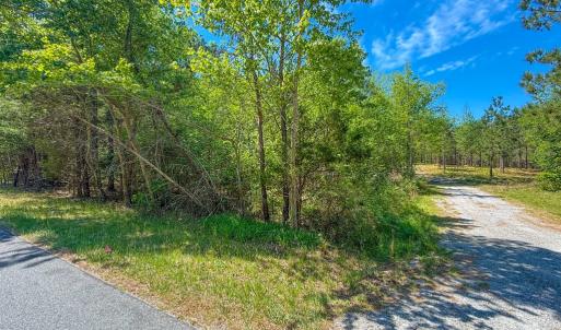 Photo #18 of Tyler Road, Crewe, VA 10.0 acres
