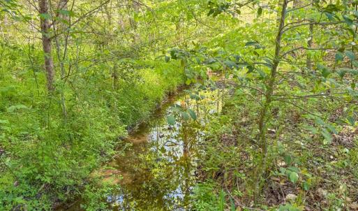 Photo #20 of Tyler Road, Crewe, VA 10.0 acres