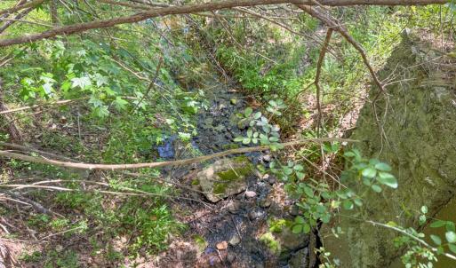 Photo #21 of Tyler Road, Crewe, VA 10.0 acres