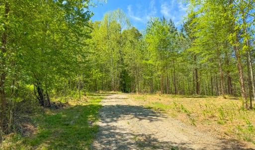 Photo #22 of Tyler Road, Crewe, VA 10.0 acres