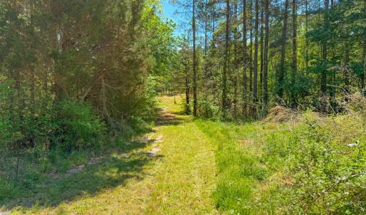 Photo #23 of Tyler Road, Crewe, VA 10.0 acres