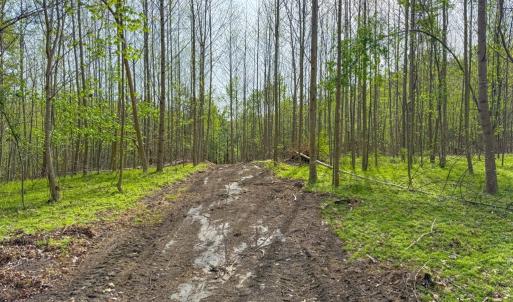 Photo #24 of Tyler Road, Crewe, VA 10.0 acres