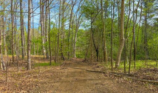 Photo #25 of Tyler Road, Crewe, VA 10.0 acres