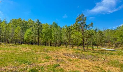 Photo #3 of Tyler Road, Crewe, VA 10.0 acres