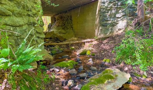 Photo #4 of Tyler Road, Crewe, VA 10.0 acres