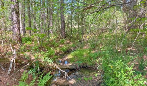 Photo #5 of Tyler Road, Crewe, VA 10.0 acres