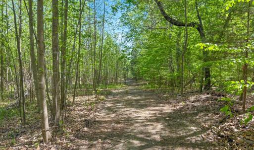 Photo #6 of Tyler Road, Crewe, VA 10.0 acres