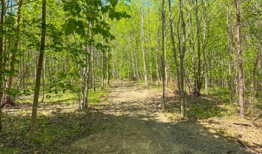 Photo #7 of Tyler Road, Crewe, VA 10.0 acres