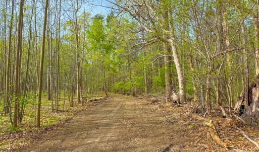 Photo #8 of Tyler Road, Crewe, VA 10.0 acres